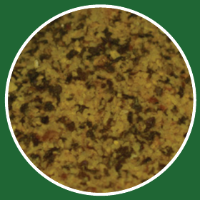 Spice 2